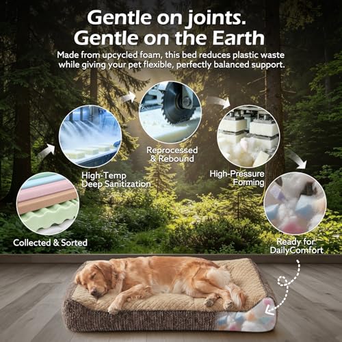 Extra Large Orthopedic Dog Beds Large Sized Dog (XXL(48"L x 34.5"W x 10"Th) / Brown)