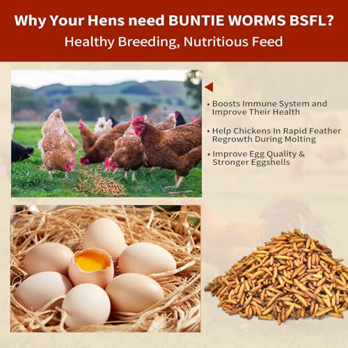 5LB Dried Black Soldier Fly Larvae for Chickens Food (5 Pound (Pack of 1))