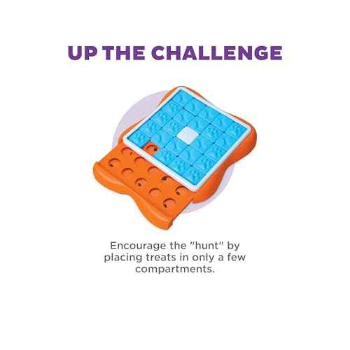 Nina Ottosson Challenge Slider Dog Toy Treat Puzzle