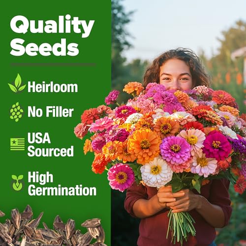Zinnia California Giant Seeds 2 oz