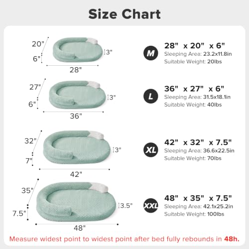 Orthopedic Dog Beds Large Sized Dog (Green / L(36"x 27"x 6"))