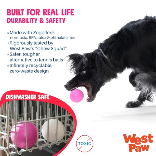 Boundr Ball Dog Fetch Toy (Small (Pack of 2) / Hot Pink/Glow)