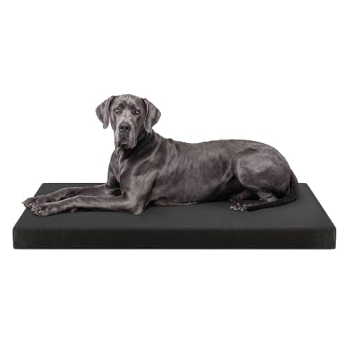 Tough Ripstop Orthopedic Crate Bed (XX-Large (53" L x36" W x 4" H) / Obsidian Black)