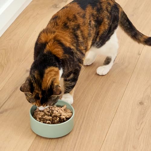 Canned Cat Food Topper