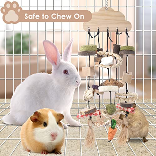 Rabbit Chew Toy (Style-1)
