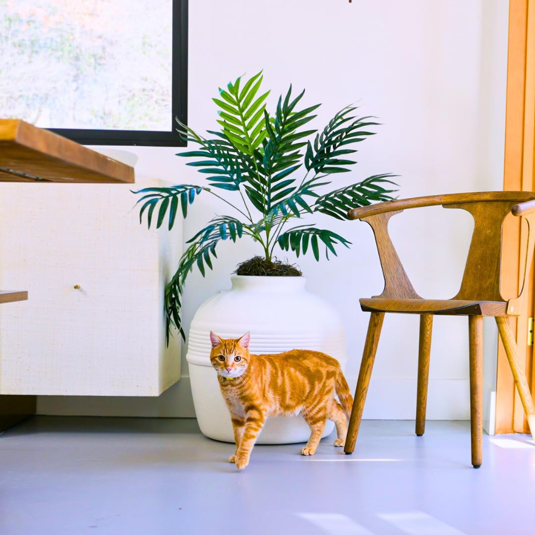 Original Hidden Litter Box Planter (White Birch)