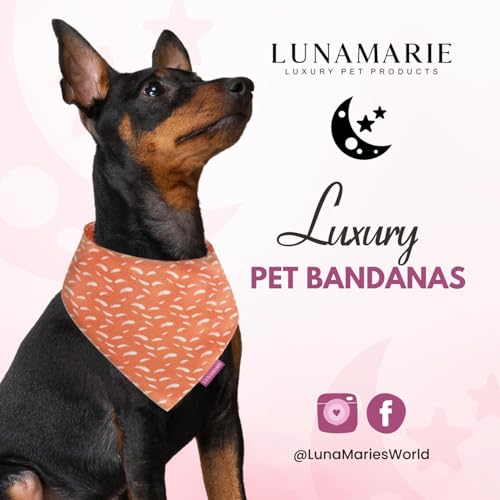 Luxury Pet Birthday Bandanas (Orange Feathers / Large)