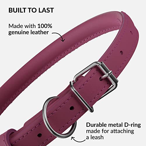 Tangle Free Rolled Leather Dog Collar (Pink / XXS)