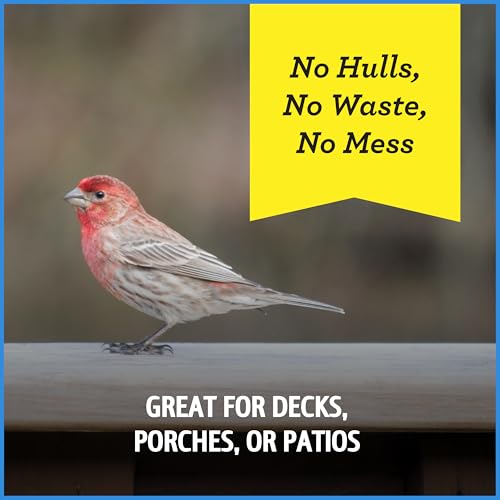 Select Chips & Bits Wild Bird Seed for Outside Feeders 15 (15 Pound (Pack of 1))