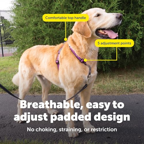 Easy Walk 3 in 1 No Pull Dog Harness (Plum / Large (Pack of 1))