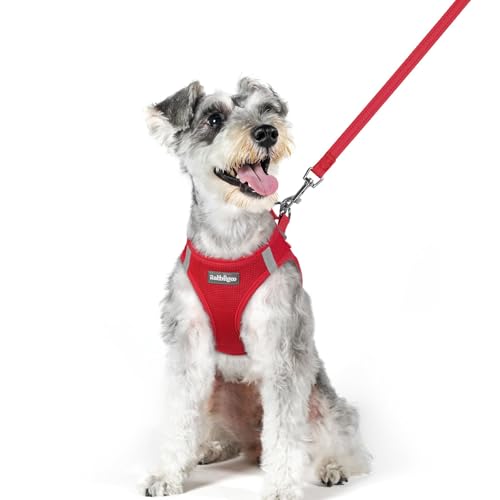 Dog Harness Medium Sized and Leash Set (Red / Xl (chest: 20 - 21.8"))
