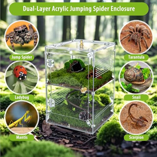 Large Jumping Spider Enclosure (Large-12''x8''x8'')