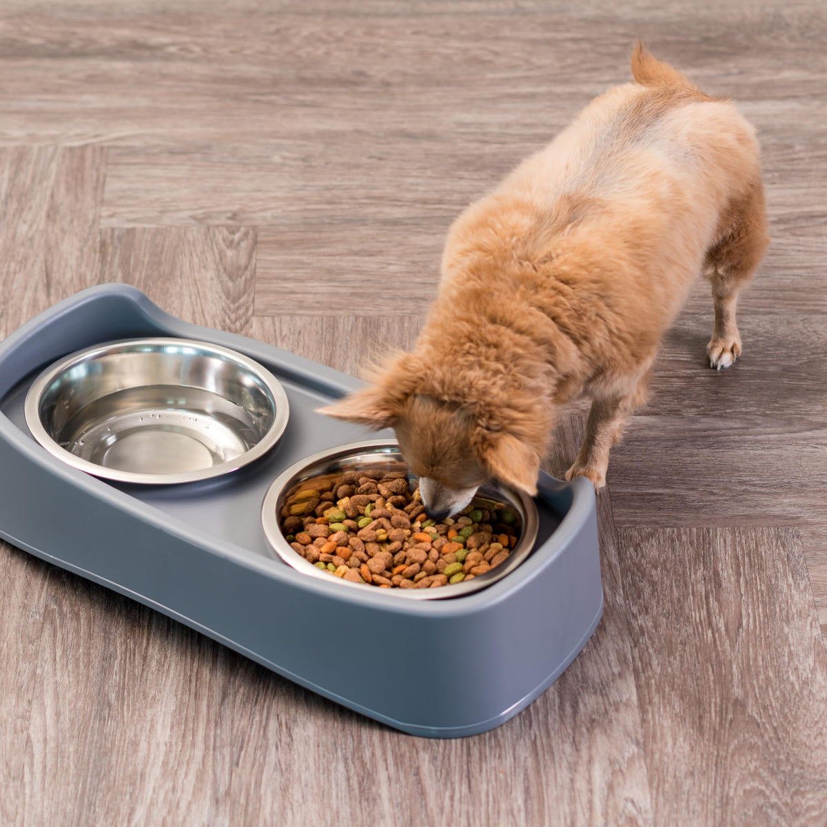 Elevated Dog Bowls (Gray)