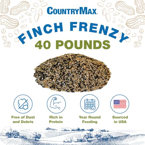 Backyard Seeds 40LB Finch & Small Songbird Frenzy (Finch Frenzy / 40 Pound (Pack of 1))