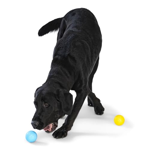 Boundr Ball Dog Fetch Toy (Small (Pack of 2) / Aqua Blue/Dandelion)