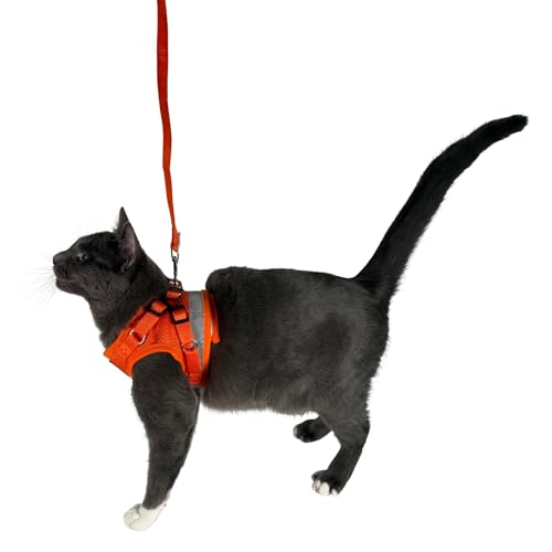 Travel Cat Harness and Leash Set (Small / Orange)