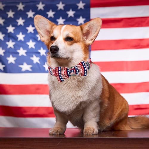 Independence Dog Collar (USA / X-Small (Pack of 1))