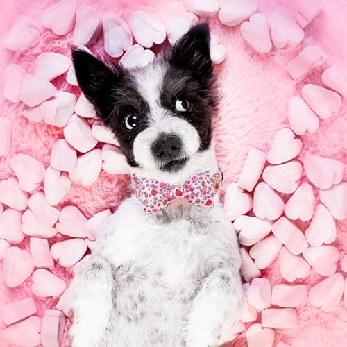 Valentine's Day Dog Collar with Bow Tie XO Red Lips Puppy Collar Best Gift for Small Medium Large Boys Girls (X-Small / red lips-bow)