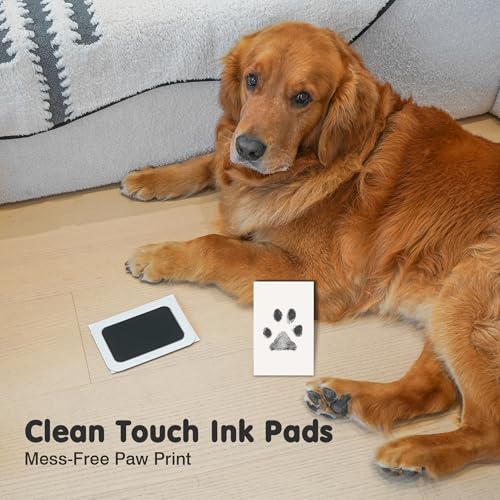Inkless Paw Print Kit for Dogs (Black Pad,Black/Natural Wood Frame / 4-Pack,Medium)