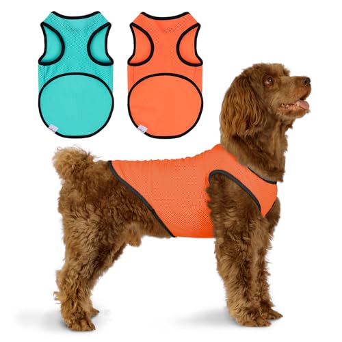 2 Pack Cooling Shirts for Dogs (S(chest:10-12") / Lake Blue&Orange)