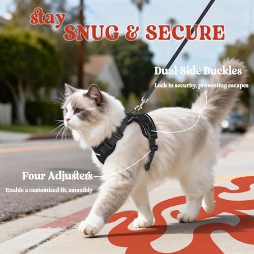 Cat Harness and Leash Set (M / Black)