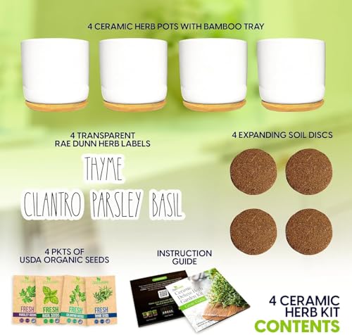 Indoor Herb Garden Kit (Ceramic Edition)