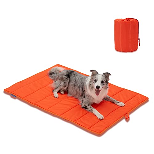 Travel Dog Bed (Orange / Large)