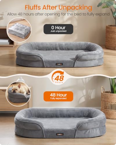 Orthopedic Dog Bed (M: 30"L x 20"W x 7"Th / Light Gray)