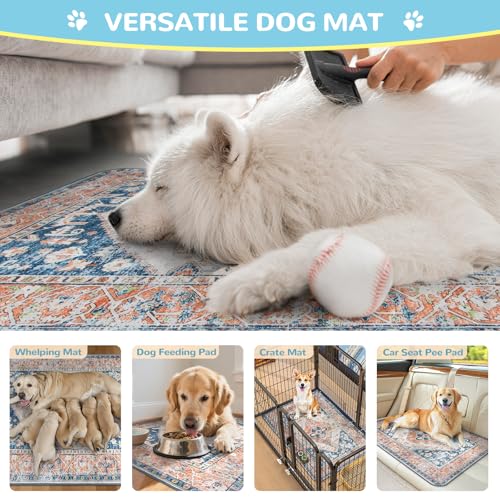 Super Absorbent Washable Pee Pads for Dogs (Beige Blue / 3FT x 3FT (Pack of 2))