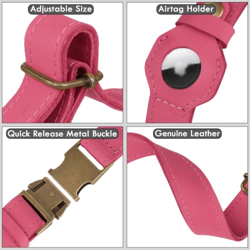 AirTag Dog Collar (Pink / XL, 20"-25" Neck Fit)
