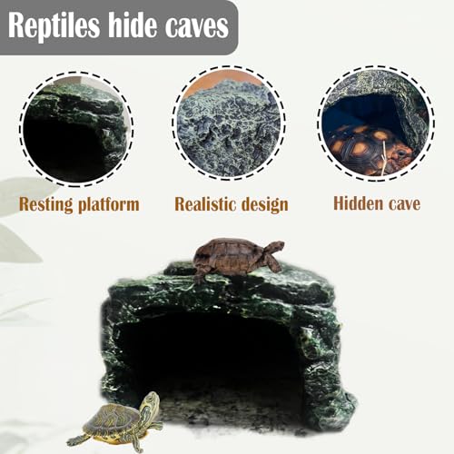 Reptile Rock Hideout Cave (hideout)