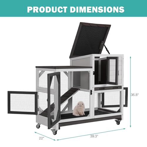 Rabbit Hutch Indoor for 2 ((White & Black-AIR7013))
