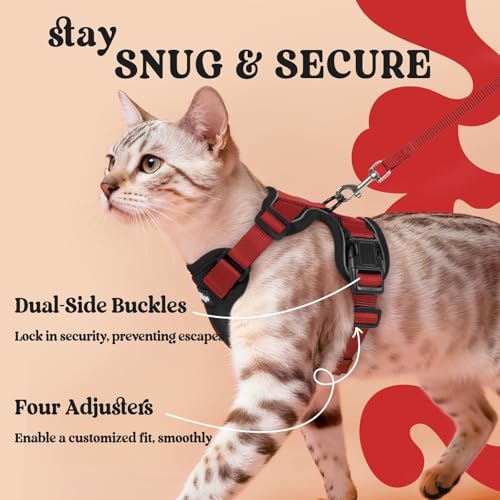Cat Harness and Leash Set (Xs / Black & Red)