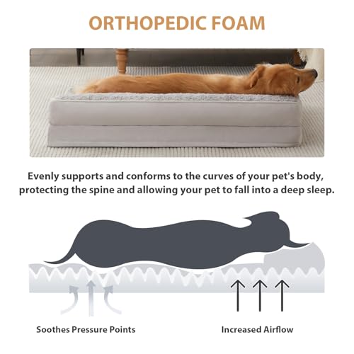 Orthopedic Washable Dog Bed (Silver Grey / 48.0"l x 35.0"w x 7.5"th)