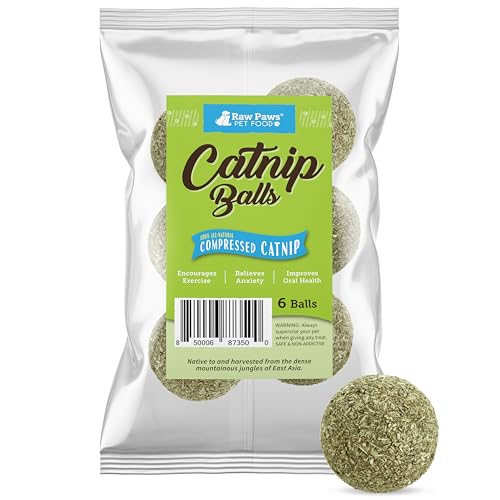 Catnip Balls for Cats (6-pack)