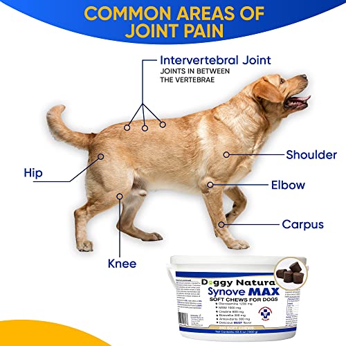 Synove Max Soft Chews for Dogs