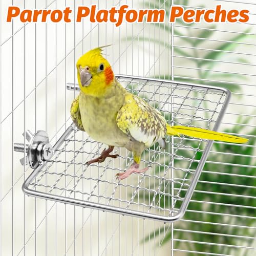 Bird Perch Platform 2 Pcs Stainless Steel Grid Parrot Perches Stand Shelf Parrots Platform Perch Small Birds Cage Accessories for Parakeets
