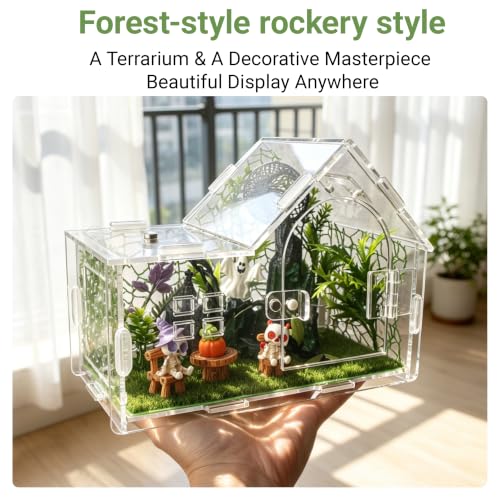 Acrylic Jumping Spider Enclosure Kit 23PCS with Decor (green-Gothic)
