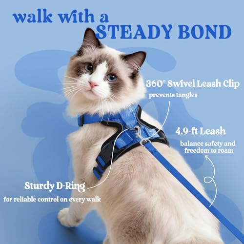 Cat Harness and Leash Set (Xs / Navy Blue)