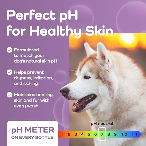 Sensitive Care (Huskies / 16 Fluid Ounces)
