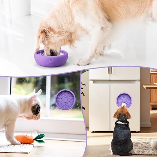 Dog Lick Bowl (Large / Purple)