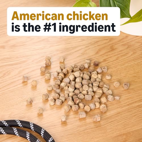 Chicken Flavor Training Treats for Dogs (1 Pound (Pack of 1))
