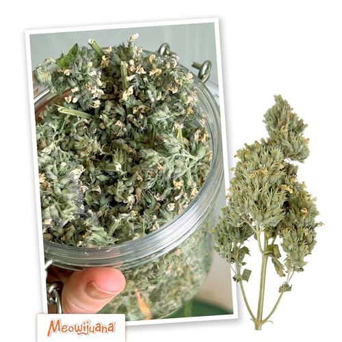Dried Catnip Buds Jar for Cats