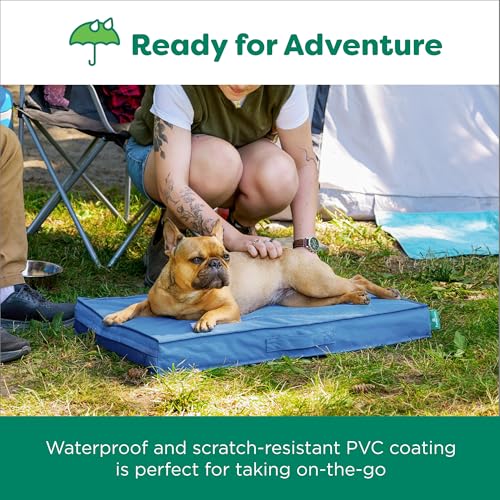 Cooling Dog Bed (Jumbo Plus / Blue)