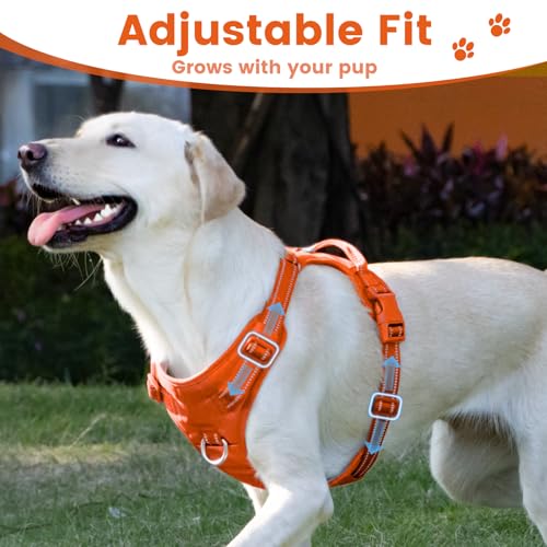 No Pull Dog Harness Front Clip Handle (Orange / L(Neck:20.9-31.5",Chest:24.8-37.4"))