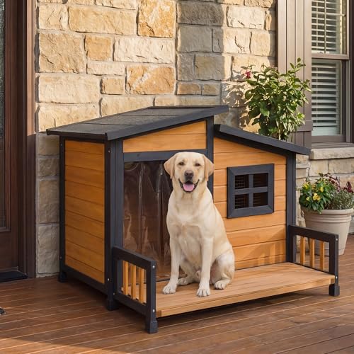 Large Outdoor Dog House W