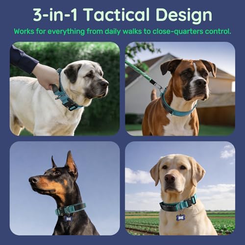 Premium Tactical Dog Collar (Blue / L: Fits Neck 17.5"-21.5")