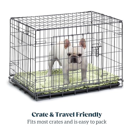 Stoutwool Indestructible Dog Bed (53.0"L x 35.0"W x 2"Th / Gleam)