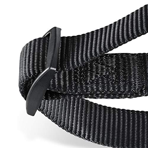 Martingale Collar for Dogs (Large / Black)
