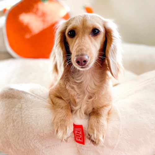 Luxury Aesthetic Dog Bed for Medium Dogs with Washable Cover (Soft White / Medium)
